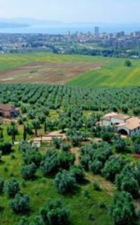 Villa Giulia Follonica