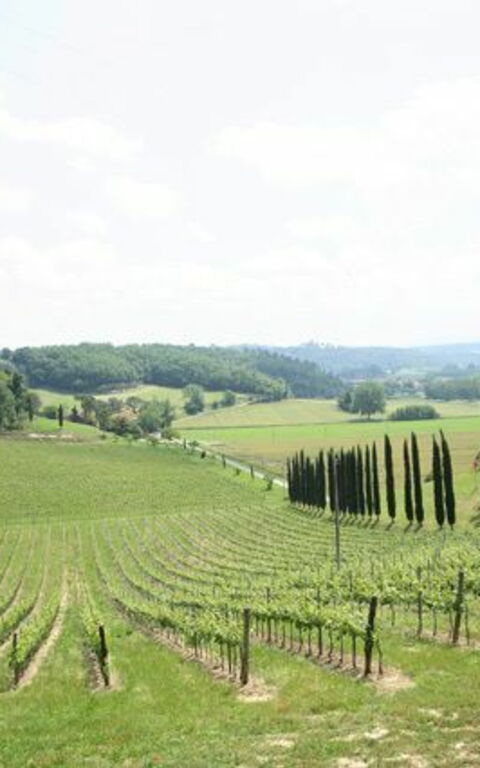 Villa Buonaparte: Scenic View