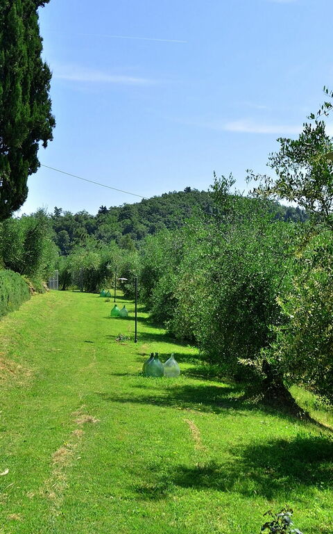 Villa Buonaparte: Garden