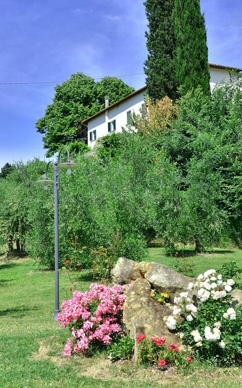 Villa Buonaparte: Garden