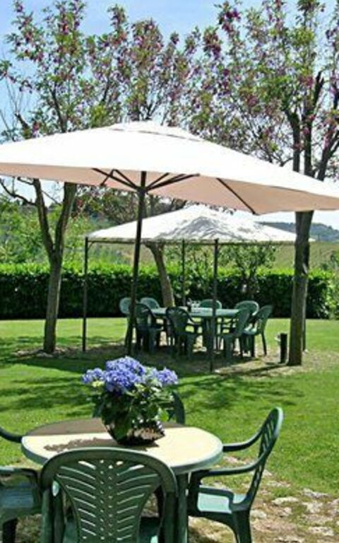 Podere Degli Olivi: Garden