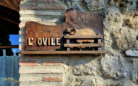 Accommodation Ovile: Outdoor