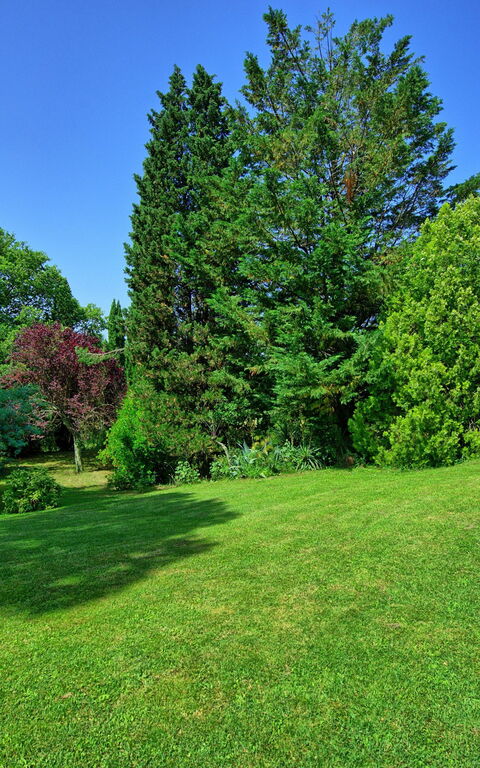 Villa Campogialli: Garden