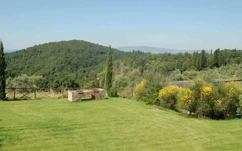Accommodation Paglia