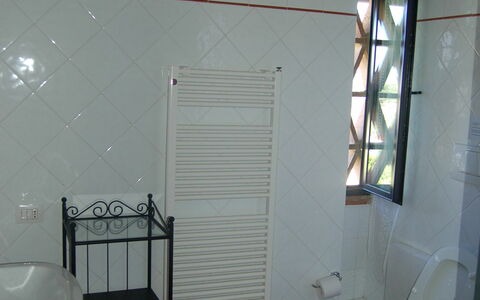 Accommodation Paglia