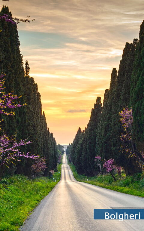 Guardistallo: Building Exterior, Scenic View