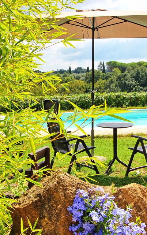 Guardistallo: Garden, Pool