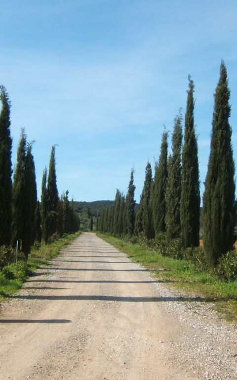 Villa Dei Cipressi: Building Exterior, Main Entrance, Outdoor
