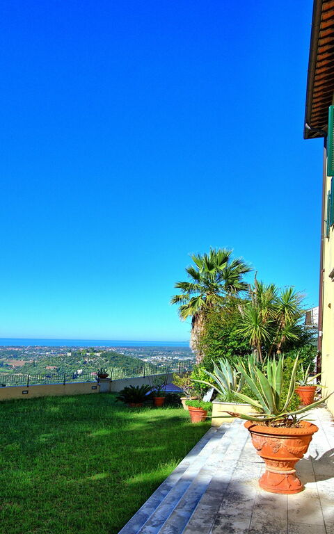 Villa Camaiore: Garden, Outdoor, Scenic View