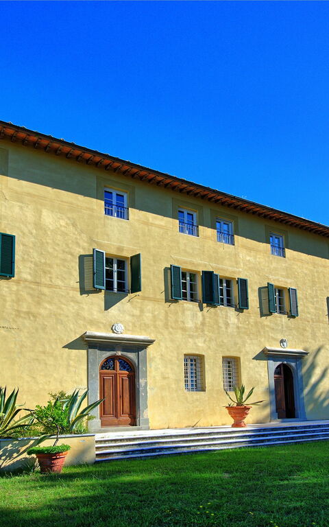 Villa Camaiore: Garden, Outdoor