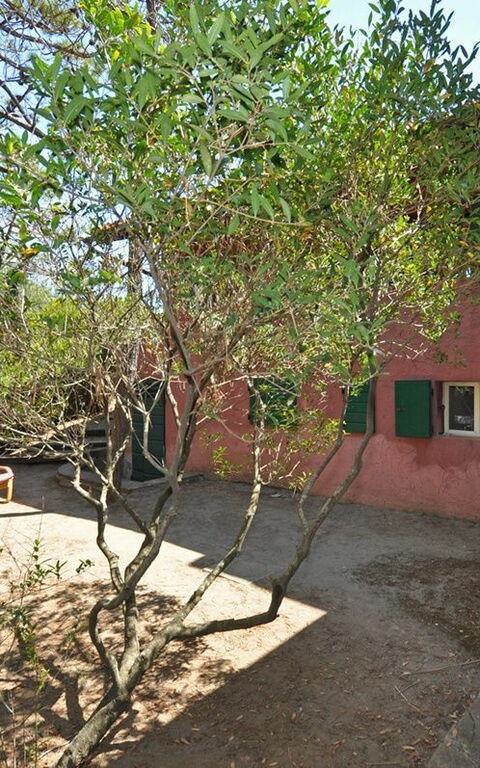 Casamare: Garden, Outdoor