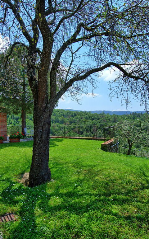 Villa Noceta: Garden, Outdoor