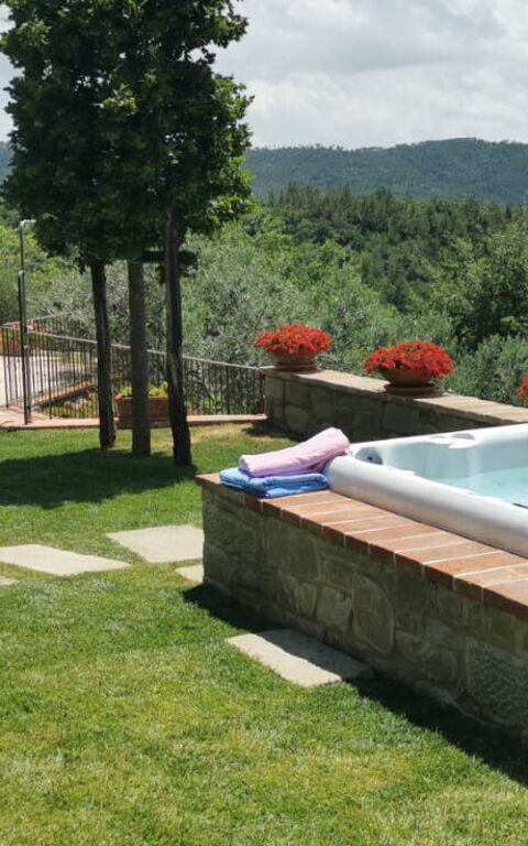 Villa Noceta: Garden, Pool