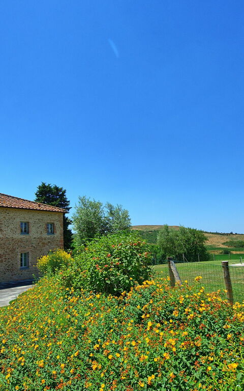 Casale La Valle - Castelfalfi: Garden