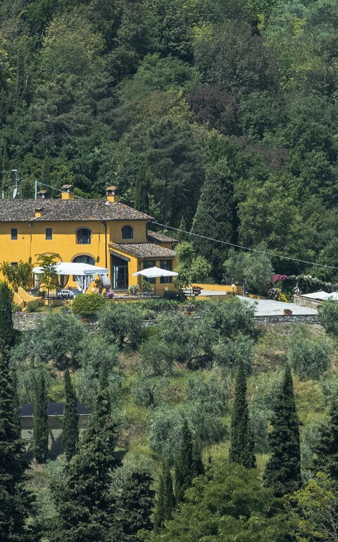 Villa Casalguidi: Garden