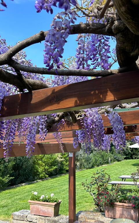 Antico Casale: Balcony / Terrace / Patio, Building Exterior, Outdoor