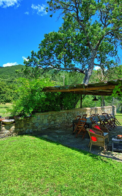 Villa Poggiolino: Garden