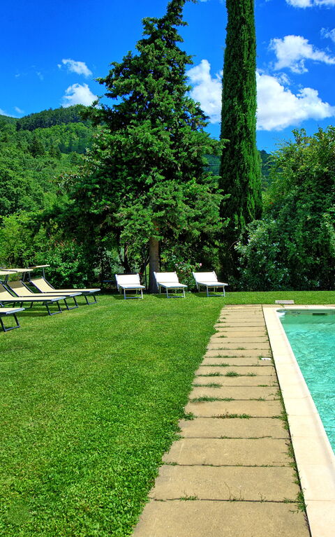 Villa Poggiolino: Garden, Outdoor, Pool