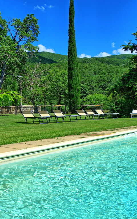 Villa Poggiolino: Garden, Outdoor, Pool