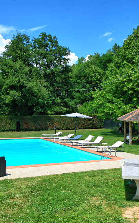 Villa Margherita Due: Garden, Outdoor, Pool