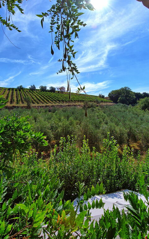 Casa Maria Luisa: Scenic View