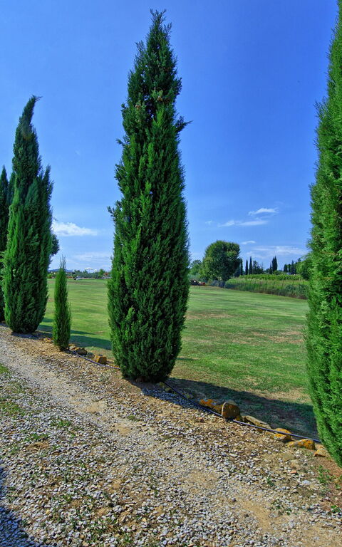 Casa Catia: Scenic View