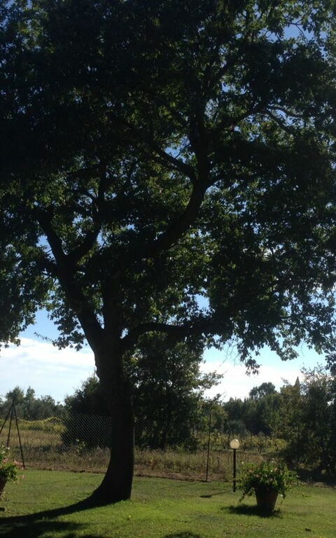 Casa Catia: Outdoor, Scenic View