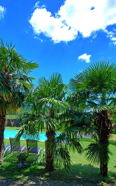 Villa Capolona: Outdoor, Pool, Scenic View