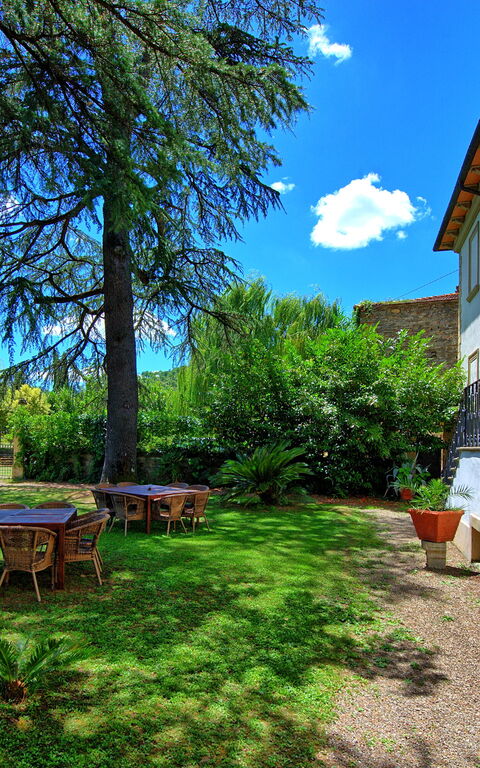 Villa Capolona: Garden, Outdoor