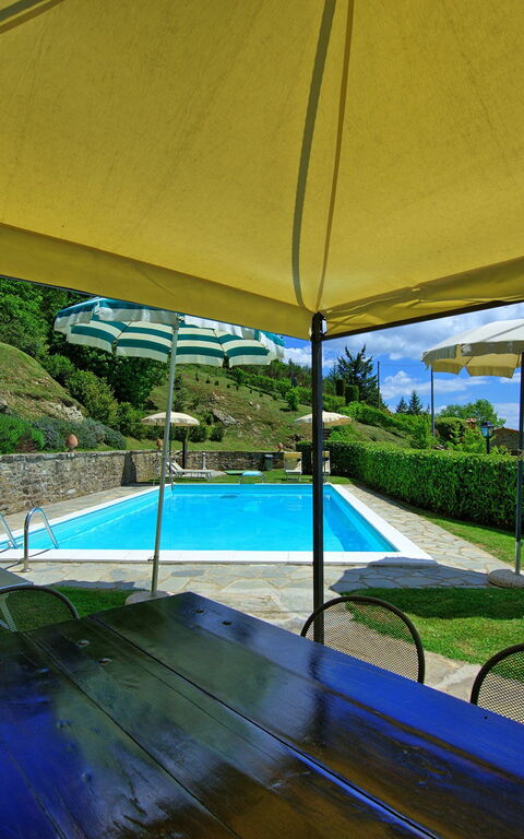 Villa Portole Uno: Garden, Pool