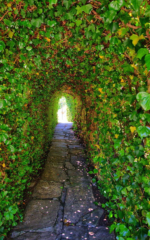 Villa Portole Uno: Garden