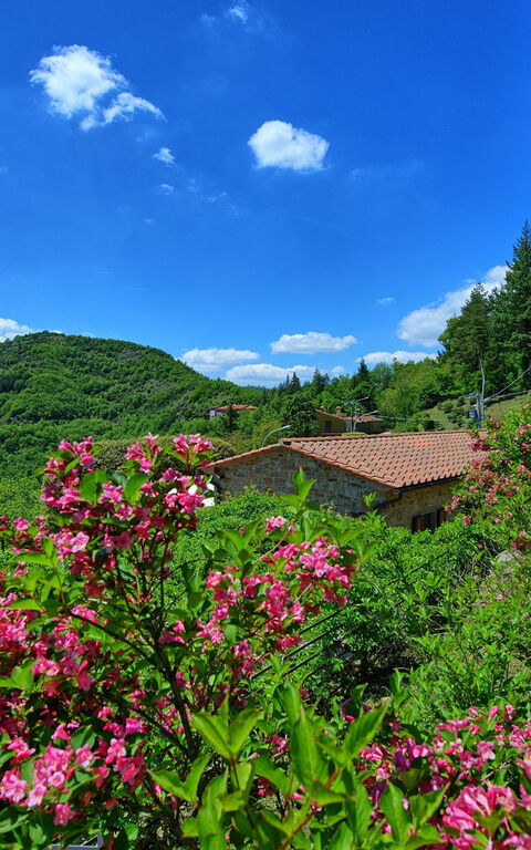 Villa Portole Due: Scenic View