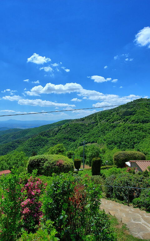 Villa Portole Due: Garden, Scenic View