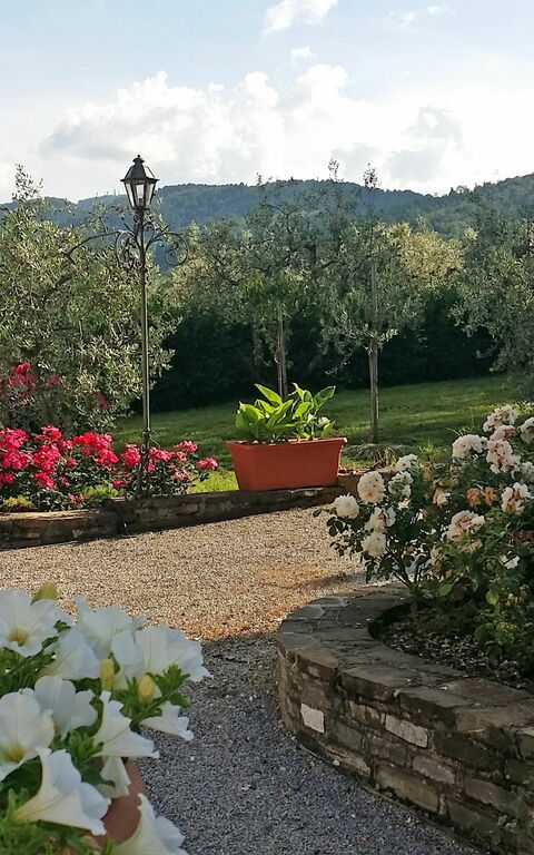 Villa Gaville: Outdoor