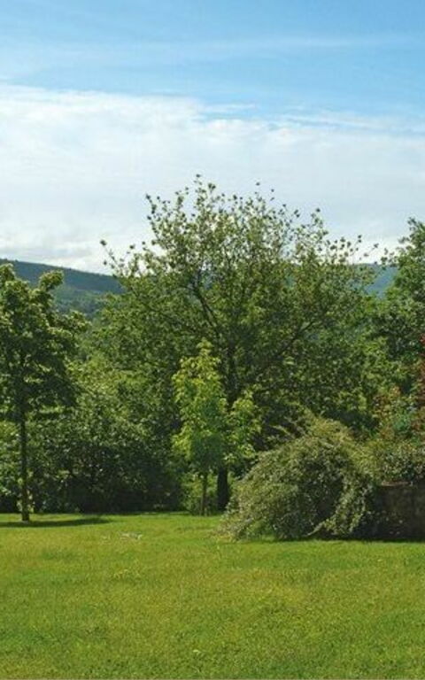 Villa Marika: Garden