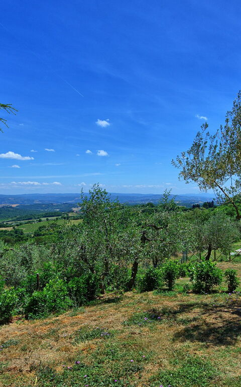 Casa Olivia: Scenic View