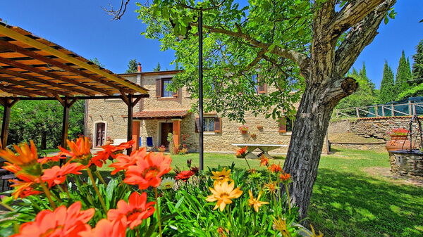 Villa Luciano: Garden