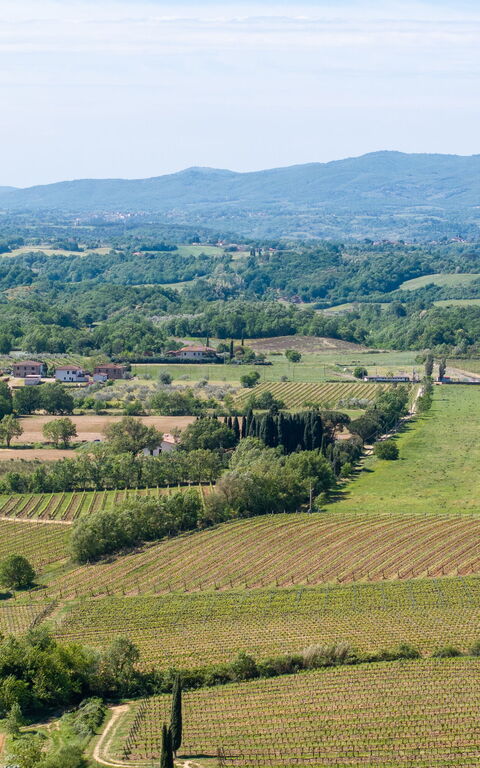 Villa Morandi: Outdoor, Scenic View