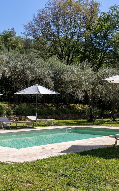 Villa Morandi: Garden, Outdoor, Pool