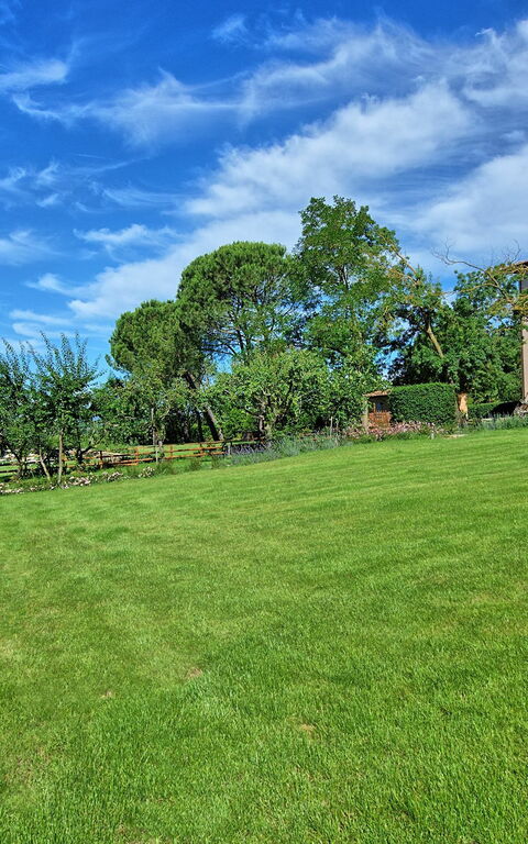 Villa Marietta: Garden