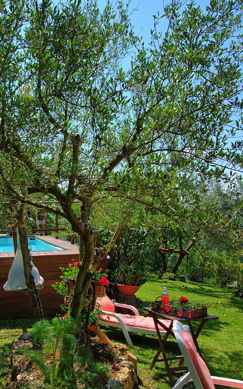 La Ruota: Garden, Summer