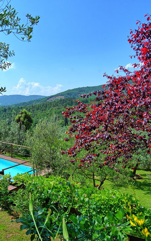 La Ruota: Outdoor, Pool, Scenic View