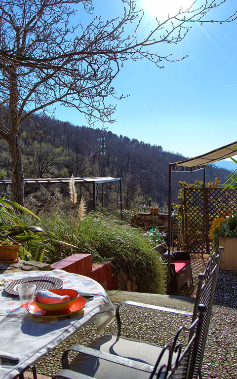 Villa Tenuta Lonciano: Garden, Outdoor