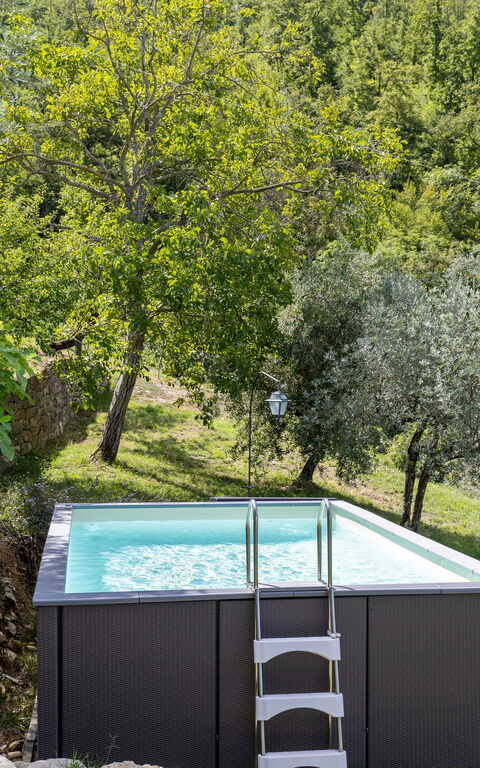 Villa Tenuta Lonciano: Garden, Outdoor, Pool