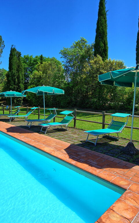 Villa Picchio: Outdoor, Pool