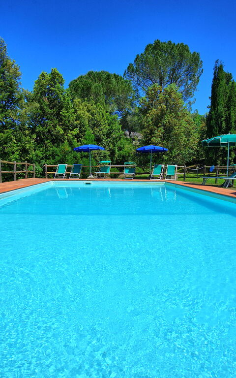 Villa Picchio: Outdoor, Pool