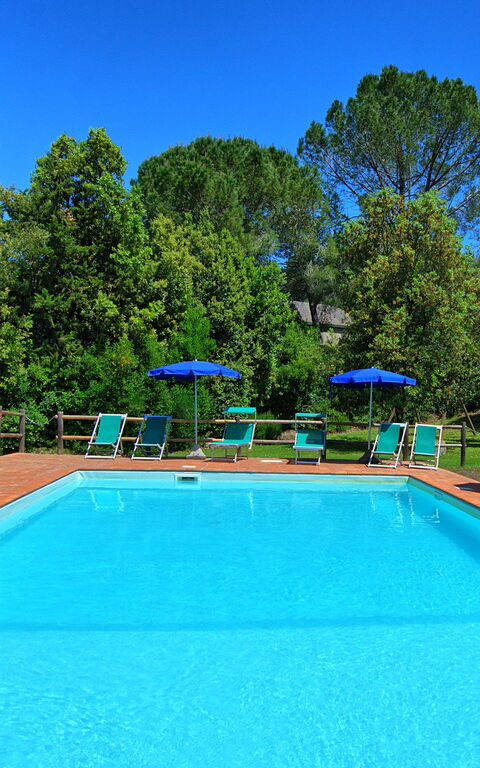 Villa Picchio: Outdoor, Pool