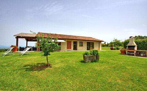 Accommodation Marcello: Building Exterior, Garden, Outdoor, Summer