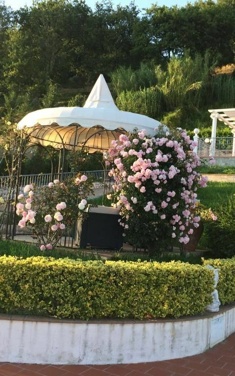 Villa Sophia: Garden