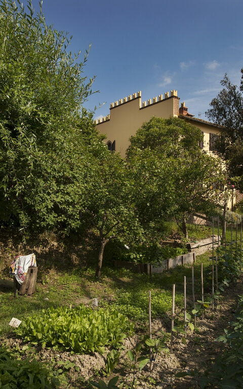 Tenuta Cambiano: Activities